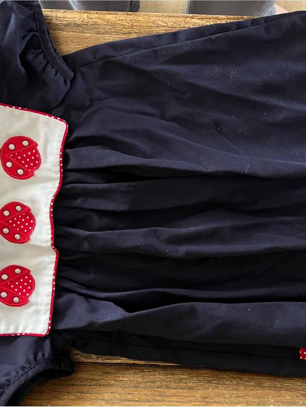 Navy Dress with Red Ladybug Appliqués